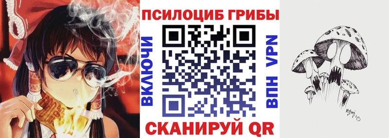 Галлюциногенные грибы MAGIC MUSHROOMS  Николаевск-на-Амуре 